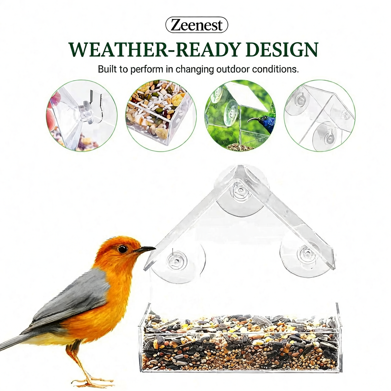 Zeenest™ ClearView Bird Feeder easy-to-refill seed tray close-up
