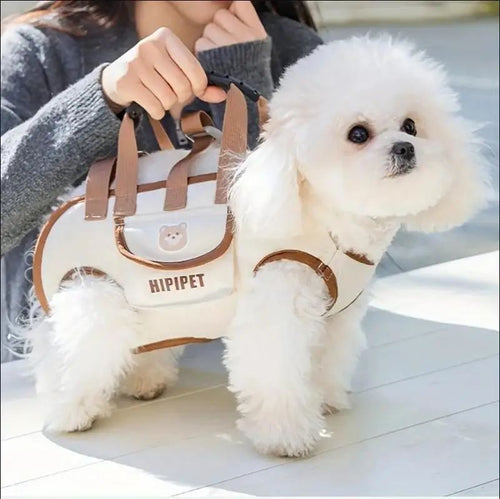 Small Dog Carrier Backpack