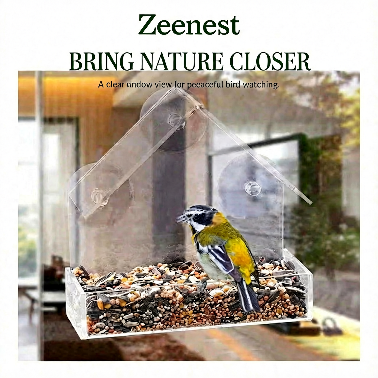 Close-up of Zeenest™ ClearView Bird Feeder strong suction cups for secure window mount