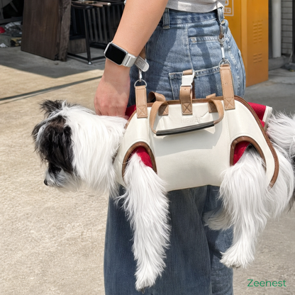 Small dog resting in a Zeenest™ hands-free pet carrier harness during a walk