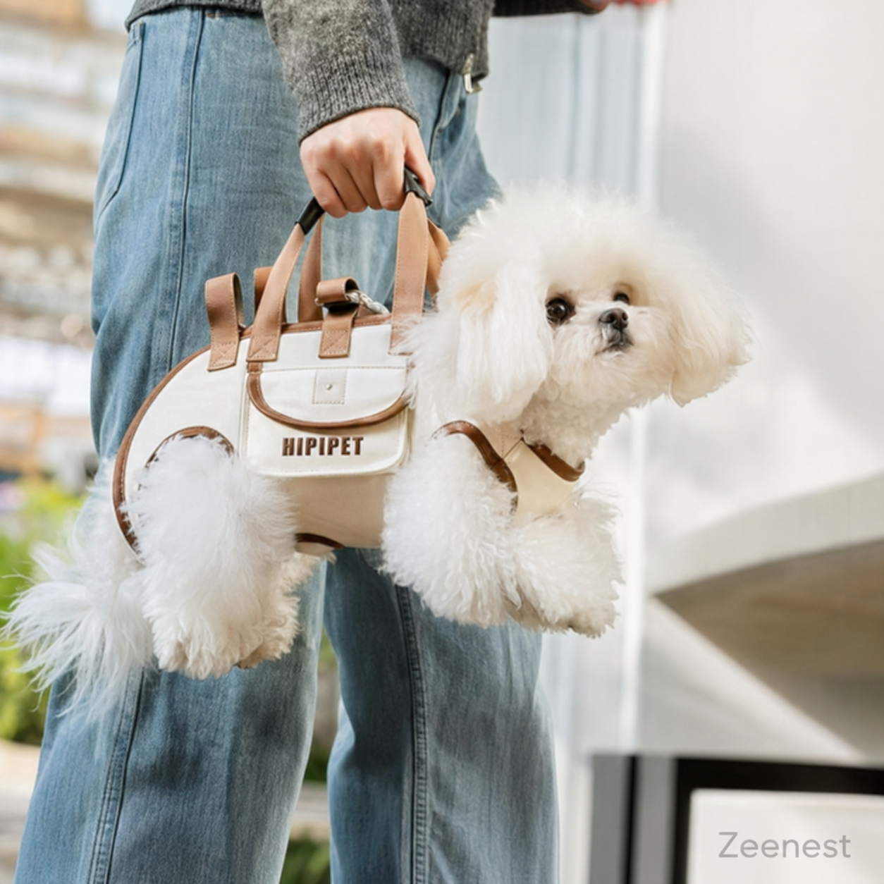 Person carrying a small dog in a Zeenest™ hands-free pet carrier harness