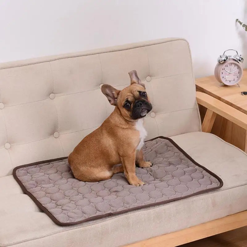 Dog resting on Zeenest™ ChillRest Pet Cooling Mat for summer comfort