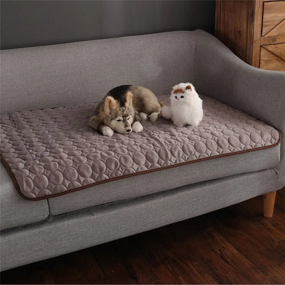 Pet resting on Zeenest™ ChillRest Pet Cooling Mat to stay cool and comfortable07