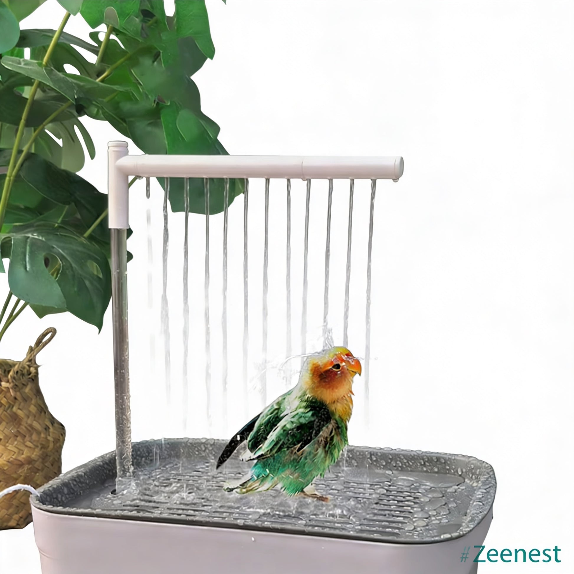 Small bird bathing in the Zeenest™ CircuBath automatic water-circulating bird shower