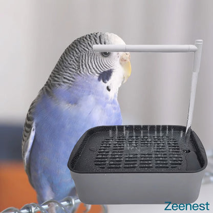 Budgie next to Zeenest™ CircuBath automatic bird shower bath tub at home
