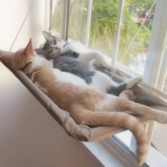 Zeenest™ CloudView Window Hammock for Cats suction cup window cat perch