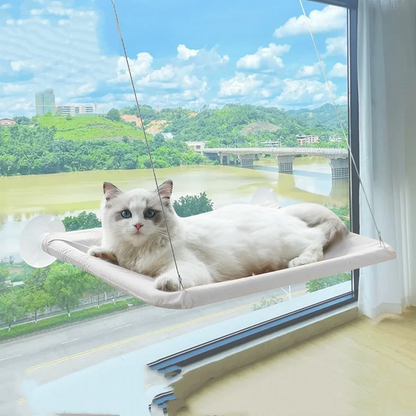 Zeenest™ CloudView Window Hammock for Cats available colors and variants01