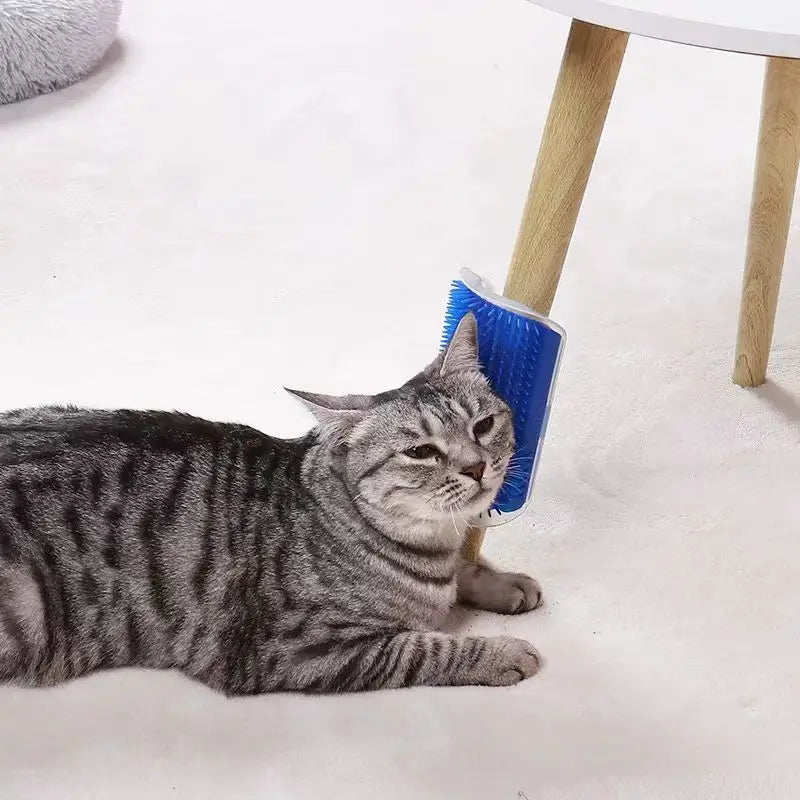 Cat rubbing against Zeenest™ Self-Groom Corner Brush for easy self grooming