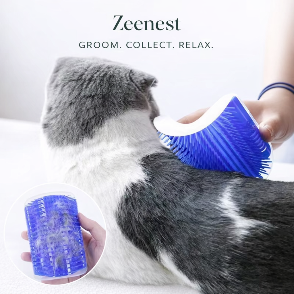 Zeenest™ Self-Groom Corner Brush removable design for easy cleaning and fur removal